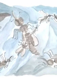 ilustração